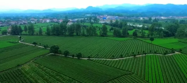【产业立市 桃源在行动】“富硒”产业成为桃源农民致富的“金钥匙”