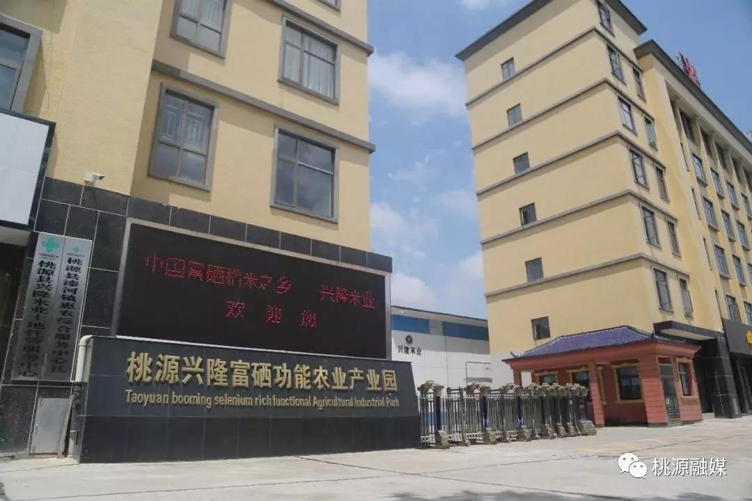 【产业立市桃源在行动】桃源1个项目获全省专项资金扶持