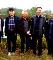 副县长汪继承调研富硒水稻和油茶试验示范项目