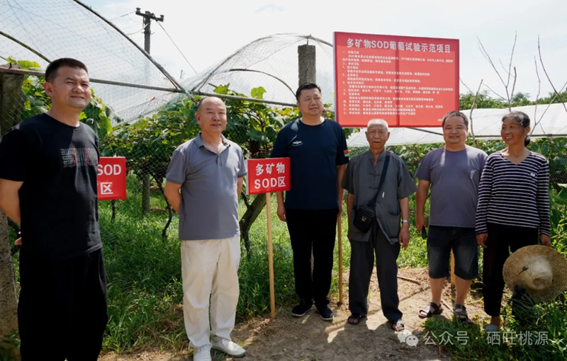 潜心求索特色农业新质生产力 助力富硒功能农业高质量发展——桃源县富硒产业最新科研成果简介