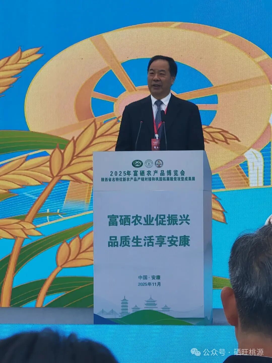 第八届富硒农业发展大会在陕西安康举办，桃源县参展成果丰硕