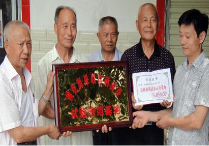 盘塘乡成为我县首个富硒油葵试验示范基地