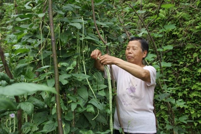 一位糖尿病患者的自述：餐桌富硒让我尝到了甜头