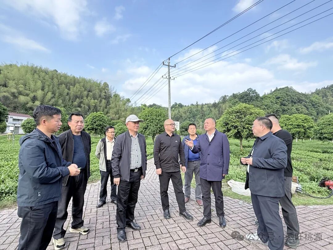 省富硒生物产业协会会长杨俊一行莅临桃源调研富硒产业发展