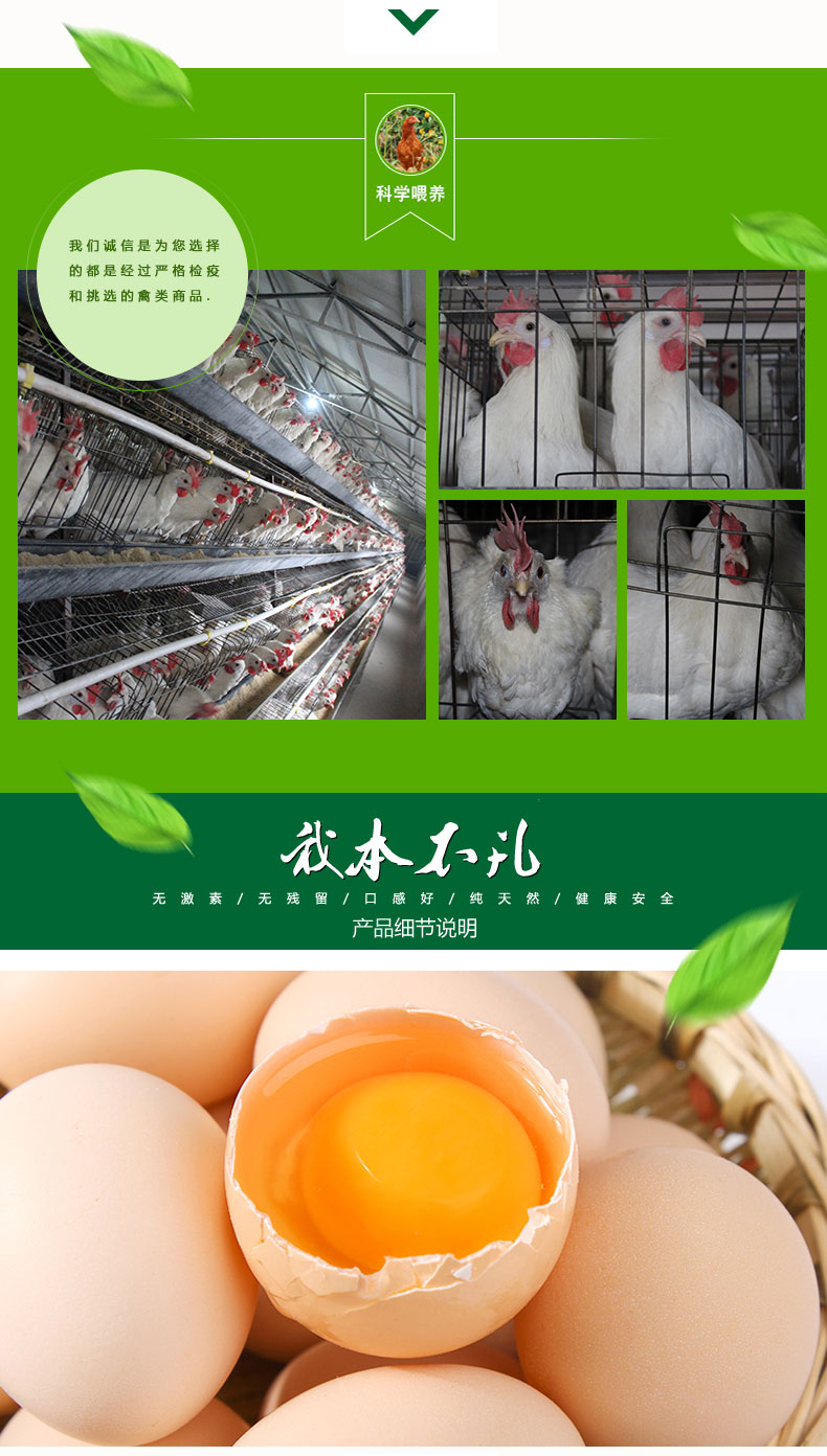 产品详情3.jpg